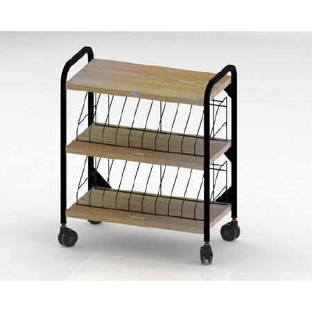 First Healthcare Products Level I 639 Series Mobile Chart Rack - 639020