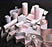 Precision Charts Printer Paper 57 mm X 24 Foot Roll - TP57B24CSO