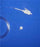 Vyaire Medical Sampling Line Kit With Male Luer GE Dash 3000, 4000 Motors - 2013069-001