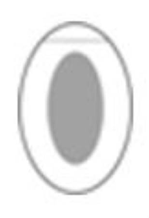 Ferris Manufacturing PolyMem Shapes Foam Dressing with Silver 2 X 3 Inch Oval Sterile - 1823