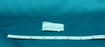 Bioseal Bioseal X-Ray Detectable Gauze Sponge Cotton 12-Ply 2 X 2 Inch Square Sterile - 7320/50