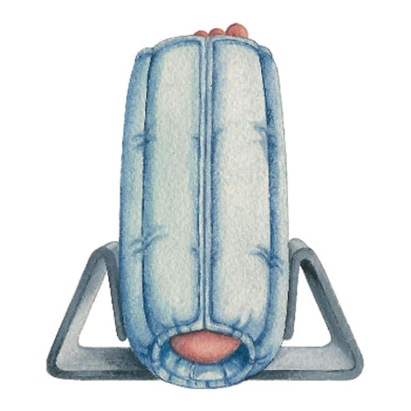 Heel-Float - Foot Stabilizer Small / Medium Hook and Loop Closure Left or Right Foot - 503039