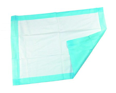 McKesson McKesson Underpad 22 X 36 Inch Disposable Fluff Light Absorbency - 18-16662/1