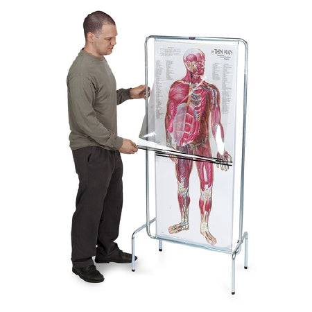 Nasco The Thin Man Sequential Human Anatomy Program Male - SB23900