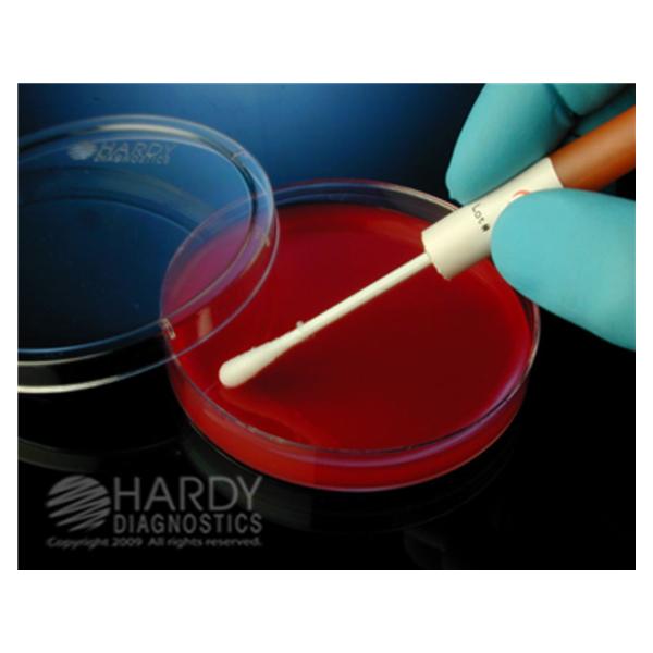 Hardy Diagnostics Kwikswab Control Organism S. Aureus Subsp Atcc 12228 Ea - 0571P