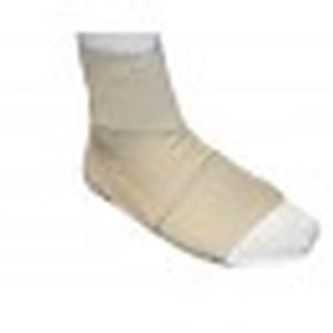 Ankle, Foot and Toe