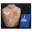 Elektro Assemblies Vascular Access Ned Chest Manikin Training Standard Ea - 4030600