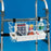 Economy - Basket - 563427