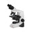 CxL - Compound Microscope Binocular Head 4X / 10X / 40X (SL) / 100X (SL, Oil) 110 to 240V Mechanical Stage - 9135002 CXL