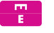 Wilmer Barkley Pre-Printed Label Chart Tab E | E Pink 1 X 1-5/8 Inch - W-P1001-E