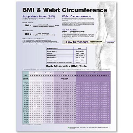 Anatomical Chart Company Anatomical Chart BMI and Waist Circumference Chart 20 X 26 Inch Plastic Wall Mount Laminated - 9780781772273