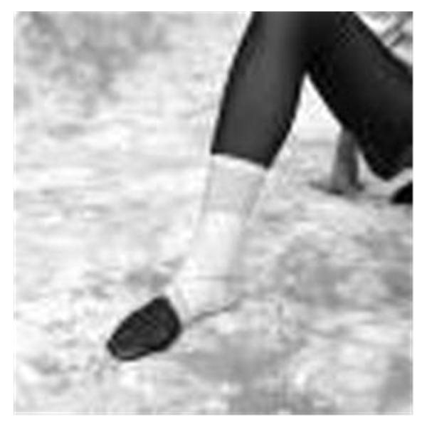 Scott Specialties Inc Support Compression 8-9.5" Ankle Spandex 8-9.5" Black Size Medium Universal Ea - 0325 MEDIUM