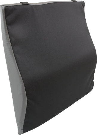 Apex-Carex - Seat Back Cushion 20 W X 17 D Inch Foam - BKF-2019