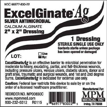 ExcelGinate AG - Silver Alginate Dressing 2 X 2 Inch Square Sterile - MP00830