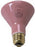 Brandt Industries - Replacement Heat Bulb - 054