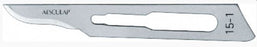 Surgical Blade