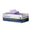 O&M Halyard Inc Halyard Lavender Exam Glove Small NonSterile Nitrile Standard Cuff Length Textured Fingertips Lavender Not Chemo Approved - 52817