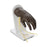 Life/Form - Advanced IV Hand Life/form 6.5 lbs. - LF01146