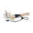 Life/form GERi KERi - Blood Pressure Arm - LF04079
