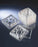 Fisher Scientific Nunc IVF 4-Well IVF Dish Polystyrene - 12566300