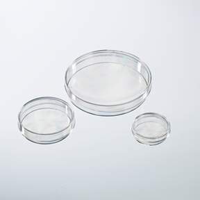 Fisher Scientific Nunc IVF Petri Dish Polystyrene - 12566353