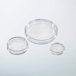 Nunc IVF - Petri Dish Polystyrene - 12566353