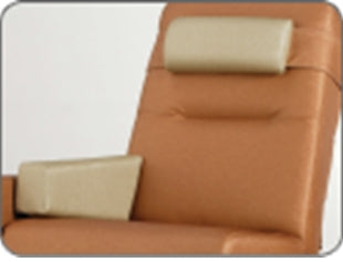 Champion Manufacturing Champion Head / Lumbar Pillow - HPT09
