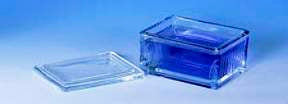 Fisher Scientific - Handle 20-Slide Glass Staining Dish - 088121C