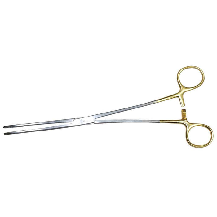 Sponge Forceps