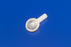 Cardinal Texas Catheter Male External Catheter Standard - 8884731300