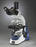 G380 Series - Medical / Veterinary Practice Microscope Trinocular Head Achromat 4X, 10X, 40X, 100X 110 to 240V Mechanical Stage - G383