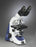 G380 Series - Medical / Veterinary Practice Microscope Binocular Head Achromat 4X, 10X, 40X, 100X 110 to 220V Mechanical Stage - G380