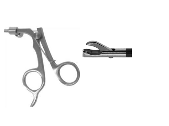 Biopsy Punch