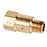 Brass Check Valve