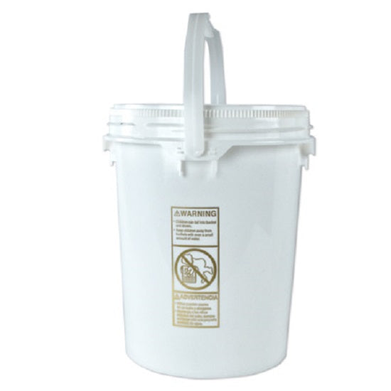 New Generation Container and Lid
