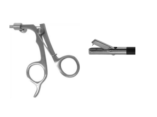 Biopsy Punch