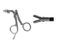 Biopsy Forceps