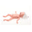 Laerdal Medical Corp Trainer Task Premature Anne Ea - 290-00050