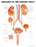 Anatomical Chart Company - Anatomical Chart Diseases of the Urinary Tract 20 X 26 Inch Plastic Grommets Laminated - 9781587792410