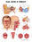 Anatomical Chart Company Anatomical Chart Ear, Nose and Throat 20 X 26 Inch Plastic Wall Mount Laminated - 9781587791154