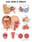Anatomical Chart Company - Anatomical Chart Ear, Nose and Throat 20 X 26 Inch Plastic Wall Mount Laminated - 9781587791154