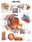 Anatomical Chart Company - Anatomical Chart Eye 20 X 26 Inch Plastic Wall Mount Laminated - 1587791269