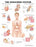 Anatomical Chart Company - Anatomical Chart Endocrine System 20 X 26 Inch Plastic Wall Mount Laminated - 1587790157