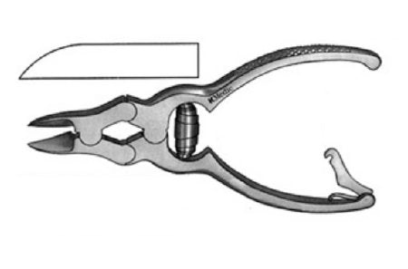 KMedic - Nail Nipper Straight 6 Inch Length Stainless Steel - KM69446