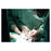 Medical Action Industries Tubing Sterilization Medical Action 2 In X 656 Feet White / Clear 2/Ca - 405R