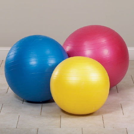 Clinton Industries Exercise Ball Blue Heavy Duty - 8065