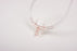 Salter Labs ThermiSense Sleep Apnea Nasal Cannula - 5750-7-25