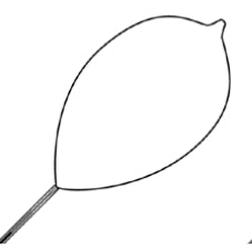 Conmed - Orbit Snare Large Firm Oval Loop 35 mm - 01-35-230