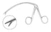 Teleflex Medical Tendon Holding Forceps Caroll 6 Inch Curved - 65325