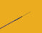 Cook Medical Sialography Catheter - G01114